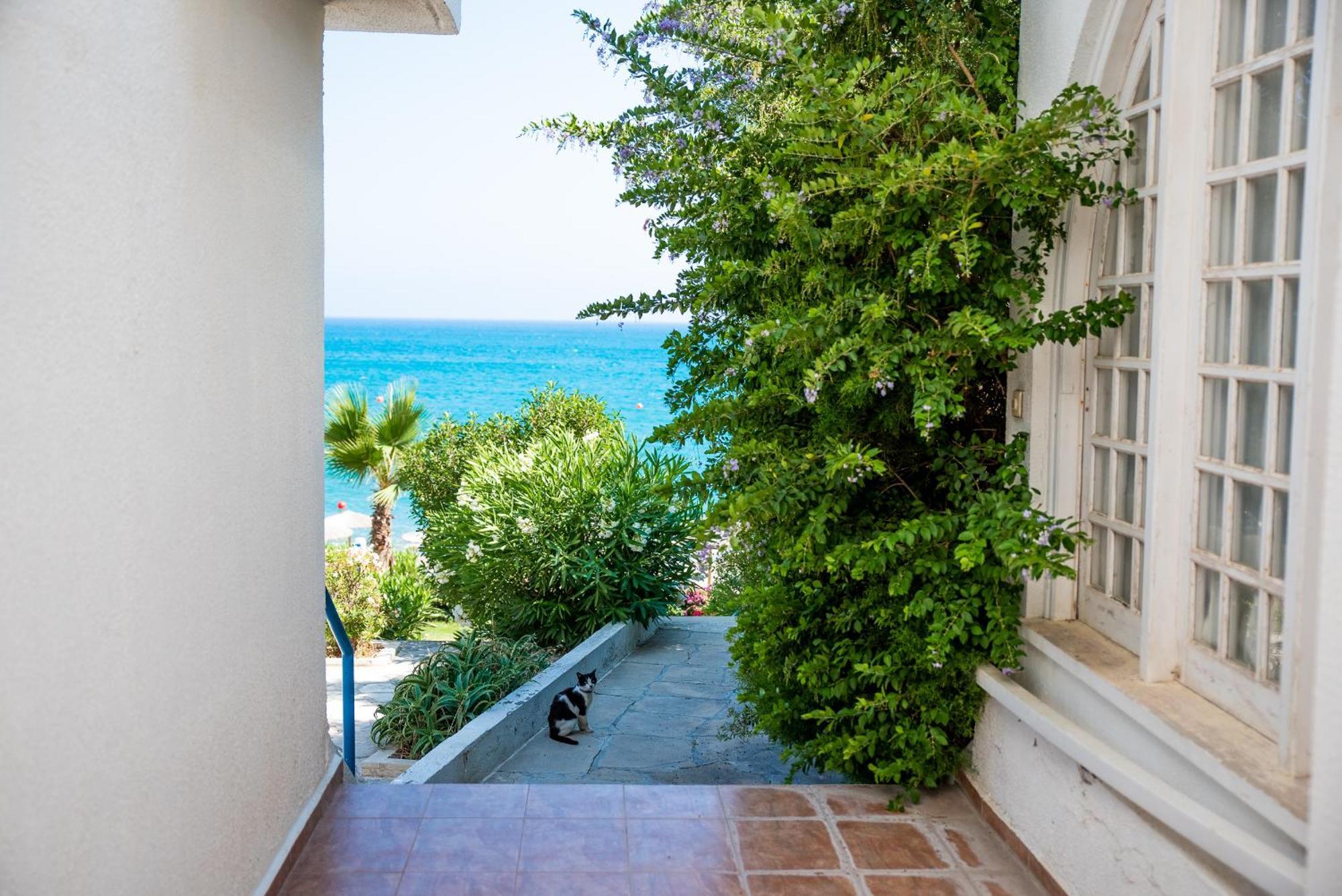 Pissouri Bay Studio Dış mekan fotoğraf